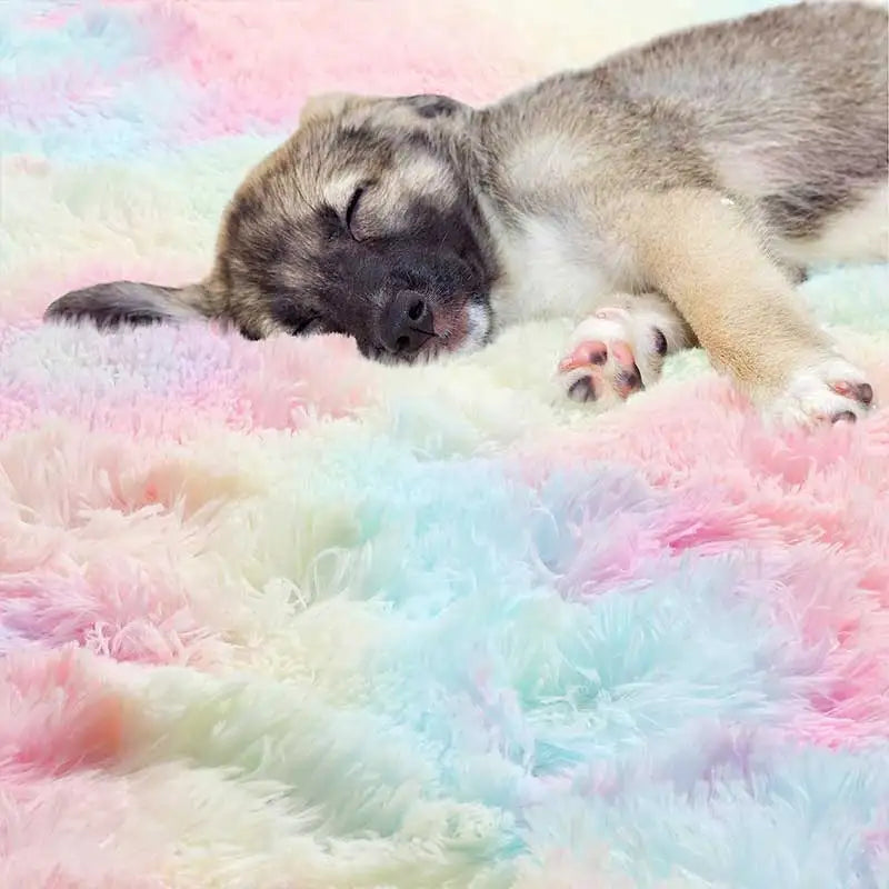 Modern Round Rainbow Rugs